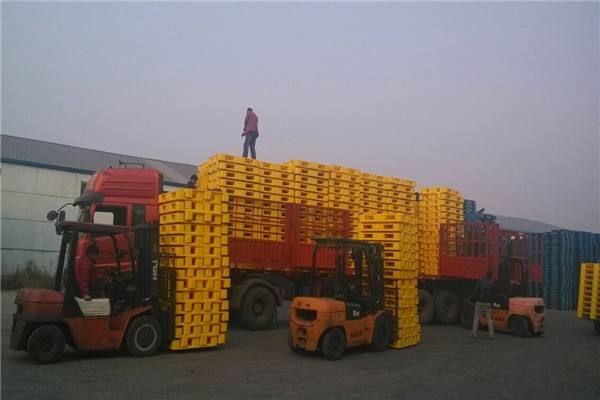 叉車搬運塑料托盤 叉車搬運塑料托盤